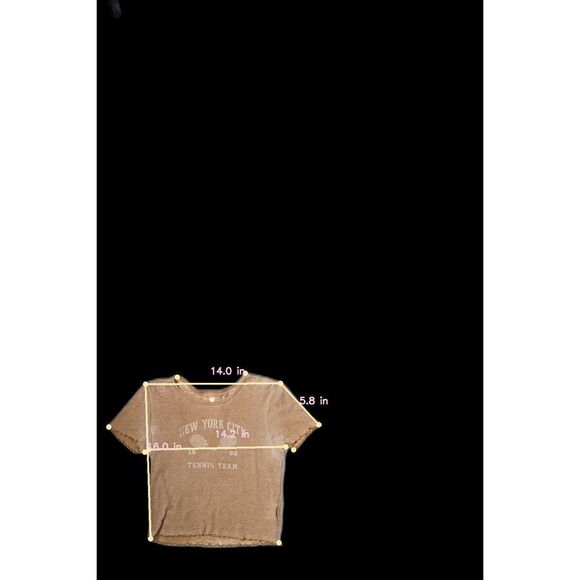 American Eagle Outfitters Crop Top Cap Sleeves Tan Size S - Picture 8 of 8